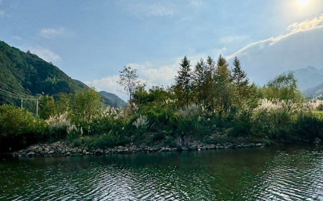 Feeling Lighter: 4-Week Journey of Letting Go Through Daoist Practice