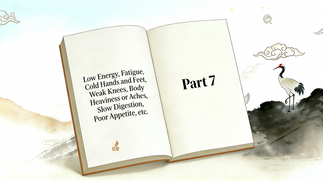 Course Selection Guide: Part 7, Low Energy, Fatigue, Cold Hands and Feet, Weak Knees, Body Heaviness or Aches, Slow Digestion, Poor Appetite, etc.