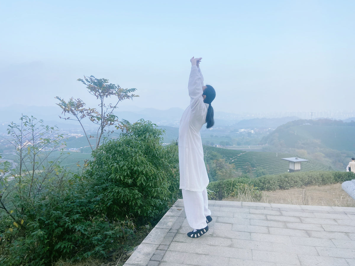 Chinese Daily Body Routine 30-Minute Complete Taichi Full Body Practice | Daily Wellness Routine ...